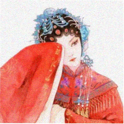导演专栏头像